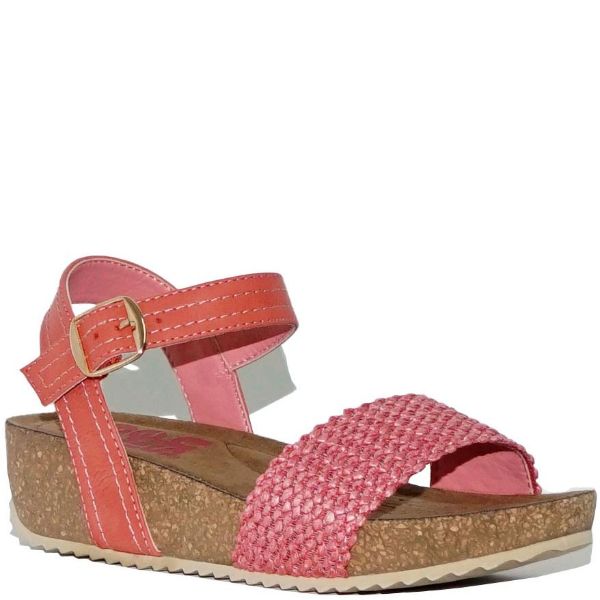 WD-141019-CORAL
