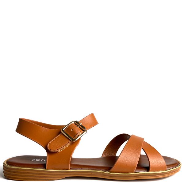 WD-132009-CAMEL