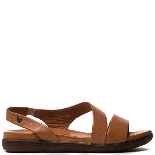 WD-141002-CAMEL